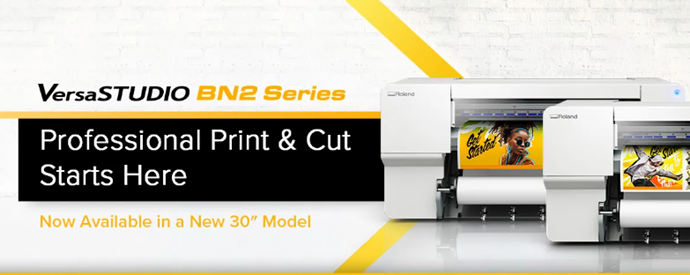 Roland BN2-20A Overview Picture