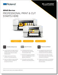 Roland BN2-30 Brochure