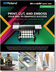 Roland LEC2-300 Brochure